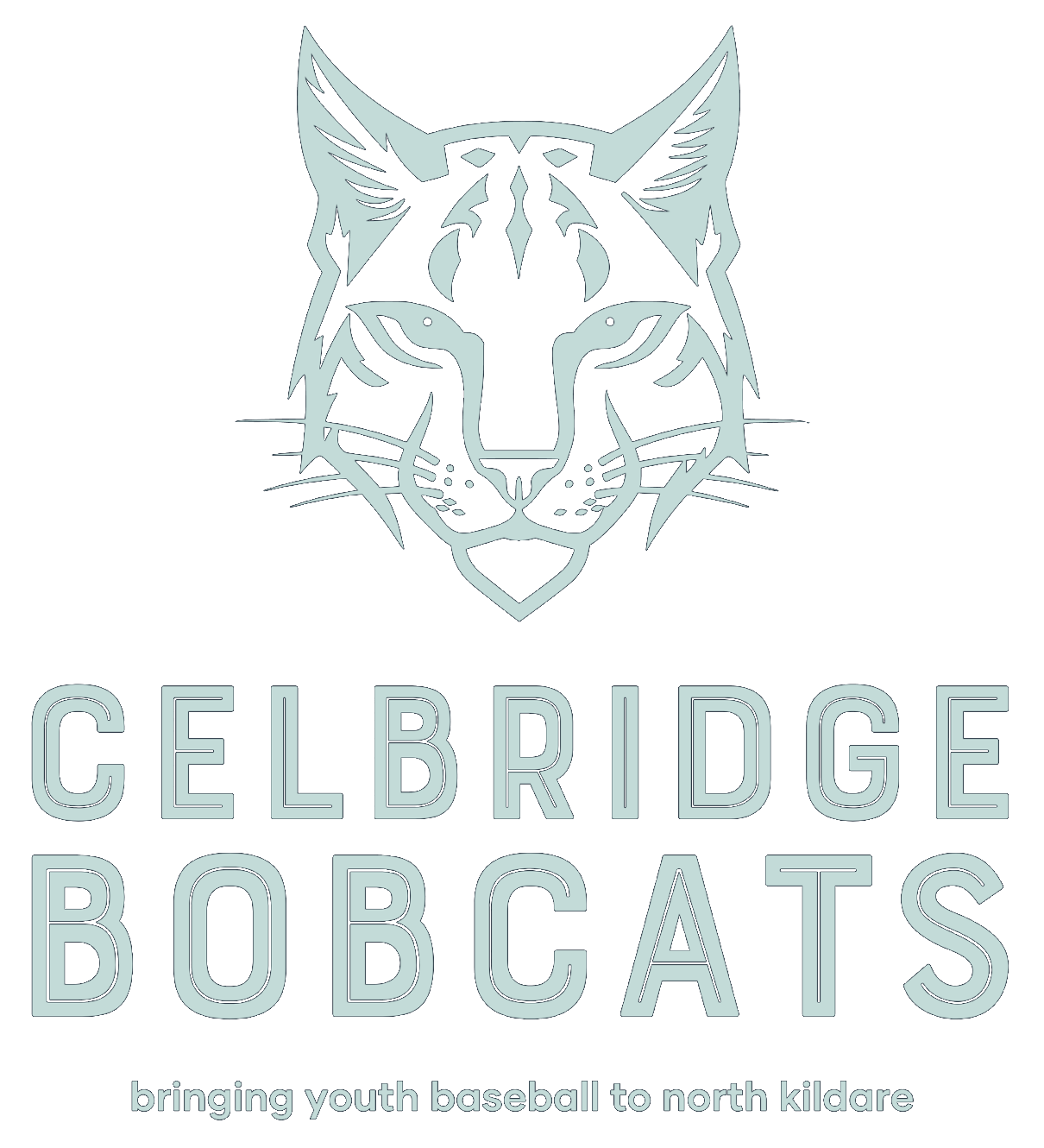 Celbridge Bobcats